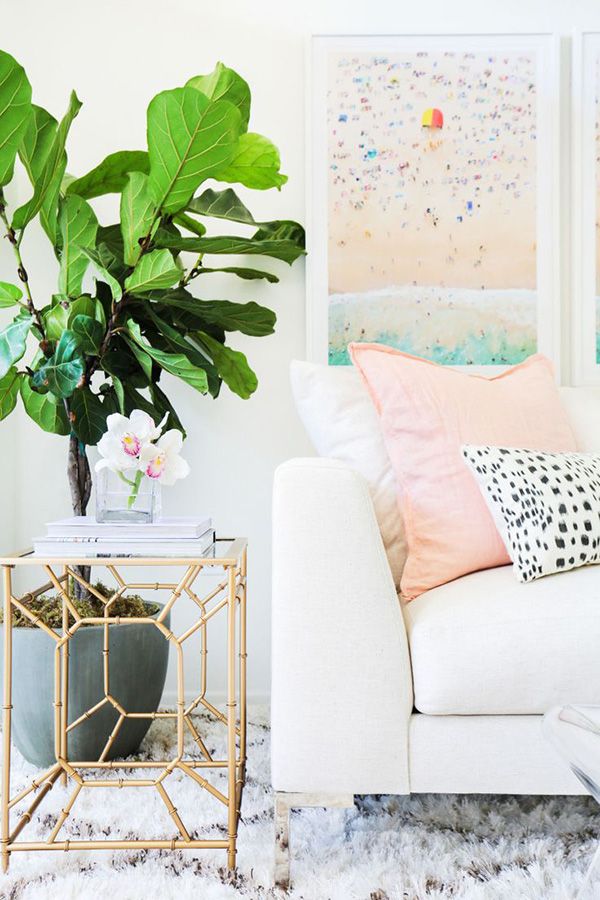 how to not kill your fiddle leaf fig tree — via @TheFoxandShe