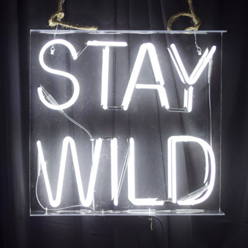 stay wild, alt summit, neon sign, blair culwell, fox and she