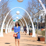 Sunshine & Celebrations