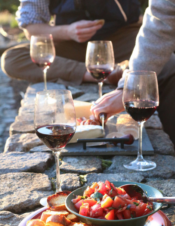 san francisco, sonoma, wine tasting, wine and cheese, travel, blair culwell, fox and she