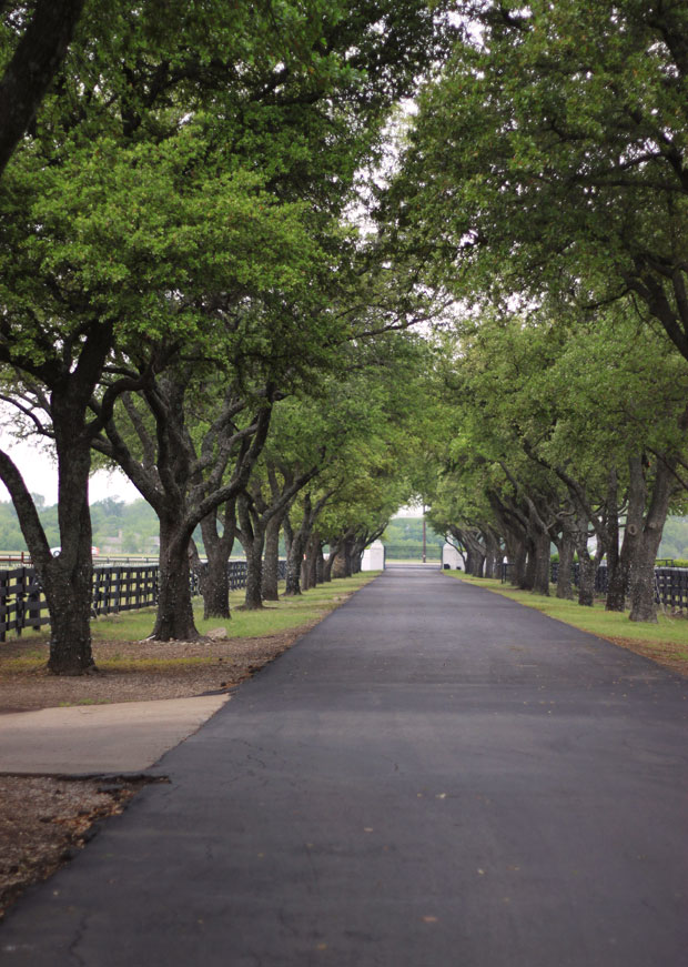 trip to dallas, rs the con, reward style conference, south fork ranch, blair culwell, fox and she