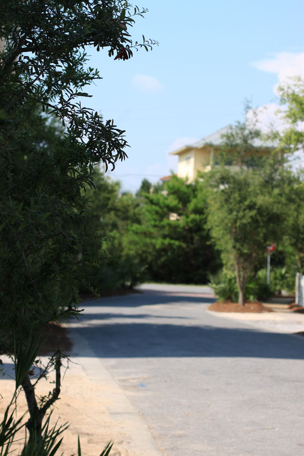 seaside florida, seaside, bachelorette party, blair culwell, fox and she