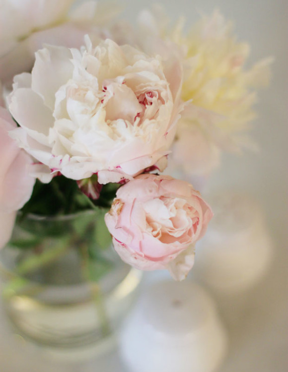 peonies, pink peonies, fresh flowers, interior design, blair culwell, fox and she