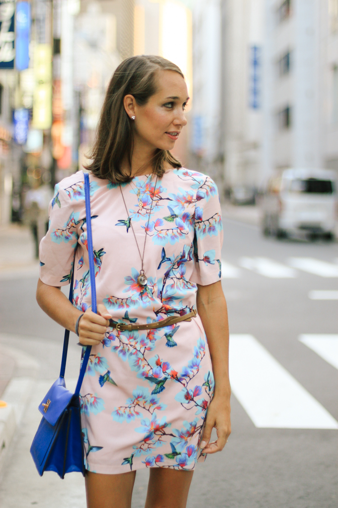 shift dress, patterned dress, v-back dress, asks dress, fall outfit, blair culwell, fox and she