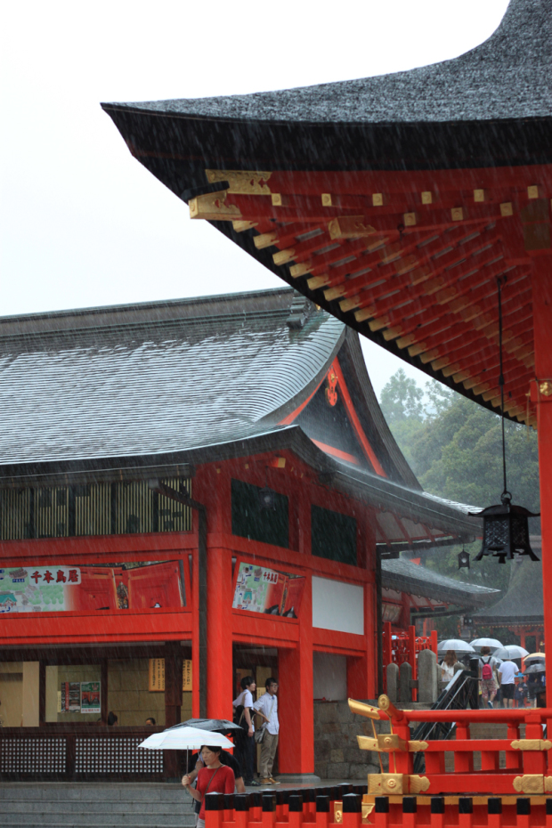 kyoto, kyoto travel, fushimi inari temple, kiyomizudera temple, blair culwell, the fox and she