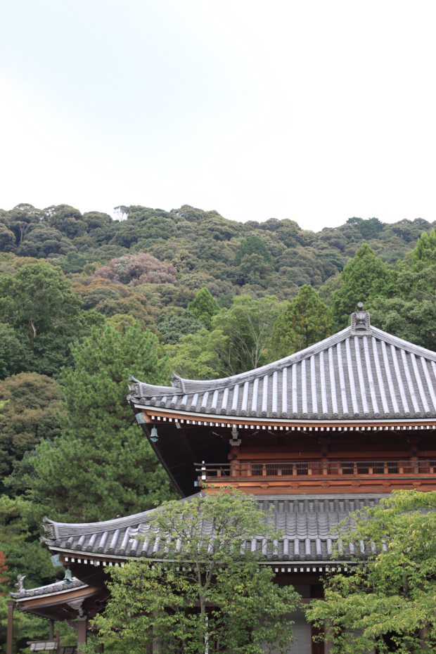 kyoto, kyoto travel, fushimi inari temple, kiyomizudera temple, blair culwell, the fox and she