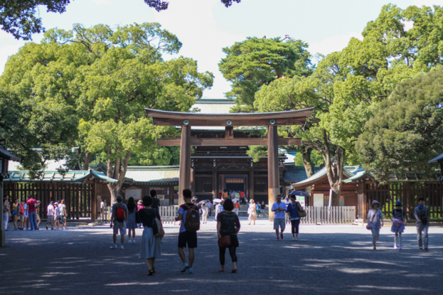 tokyo, tokyo travel, tsukiji fish market, sashimi bowl, blair culwell, the fox and she
