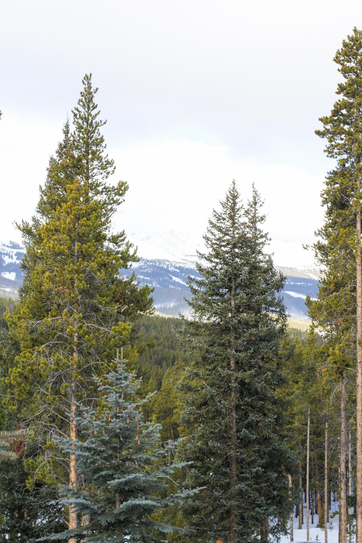 blacklane limos, breckenridge, girls trip, blair culwell, the fox and she