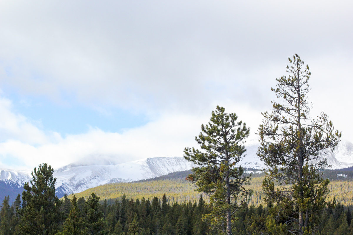 blacklane limos, breckenridge, girls trip, blair culwell, the fox and she