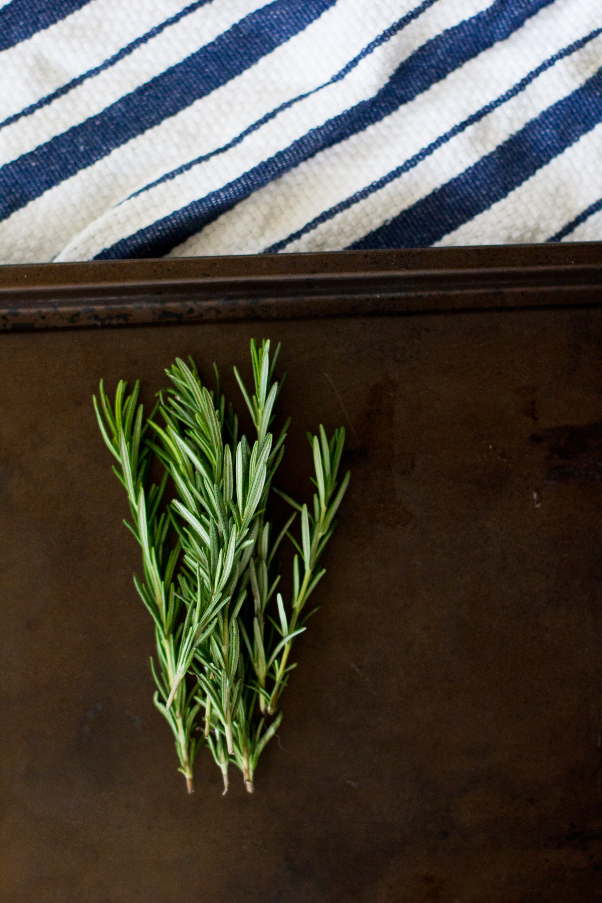 moody photography, food photography, rosemary, cooking, the fox and she, blair culwell