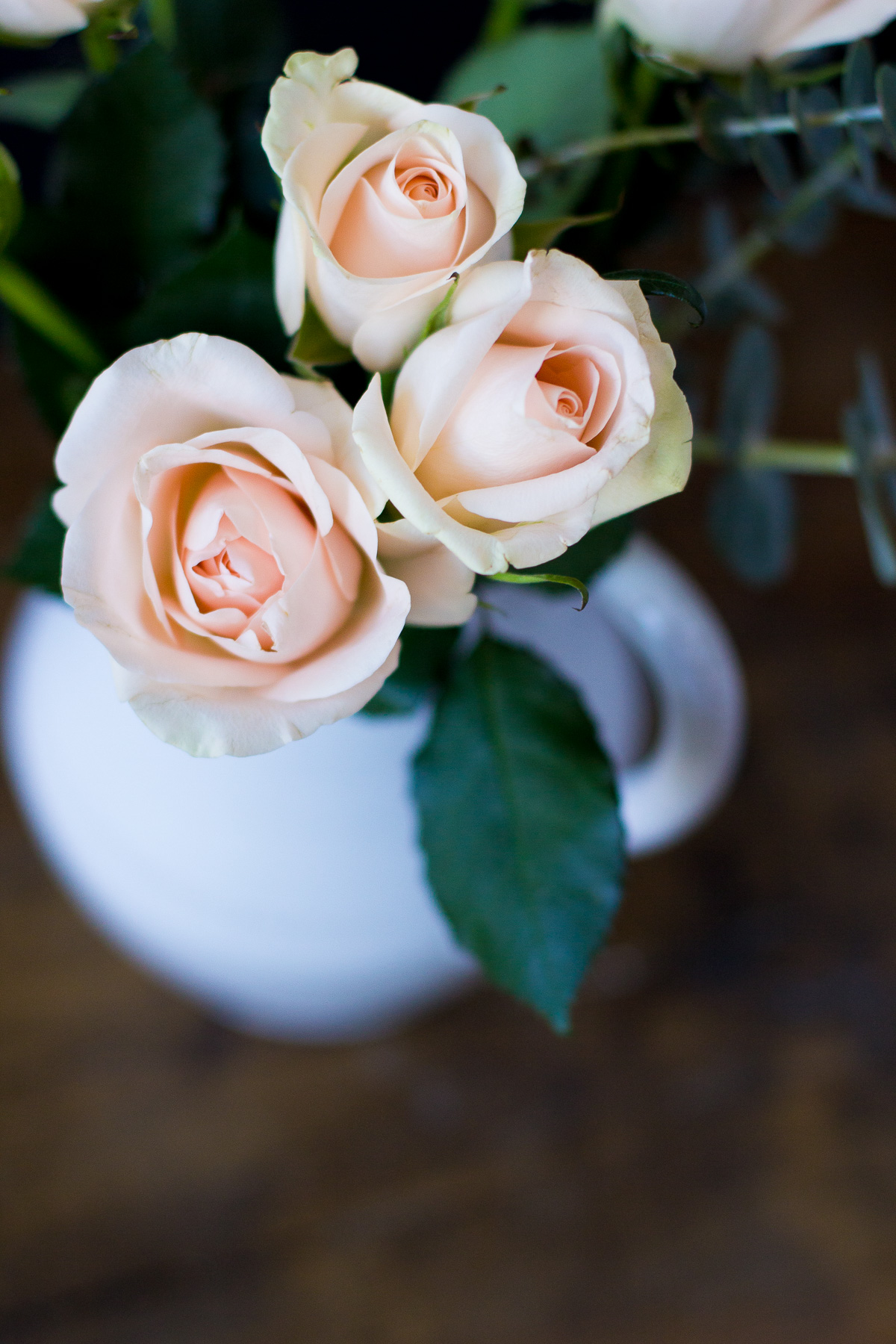 veuve cliquot, wandeleur launch, joy dravecky jewelry, nike free 5.0, peach roses, the fox and she, blair culwell staky