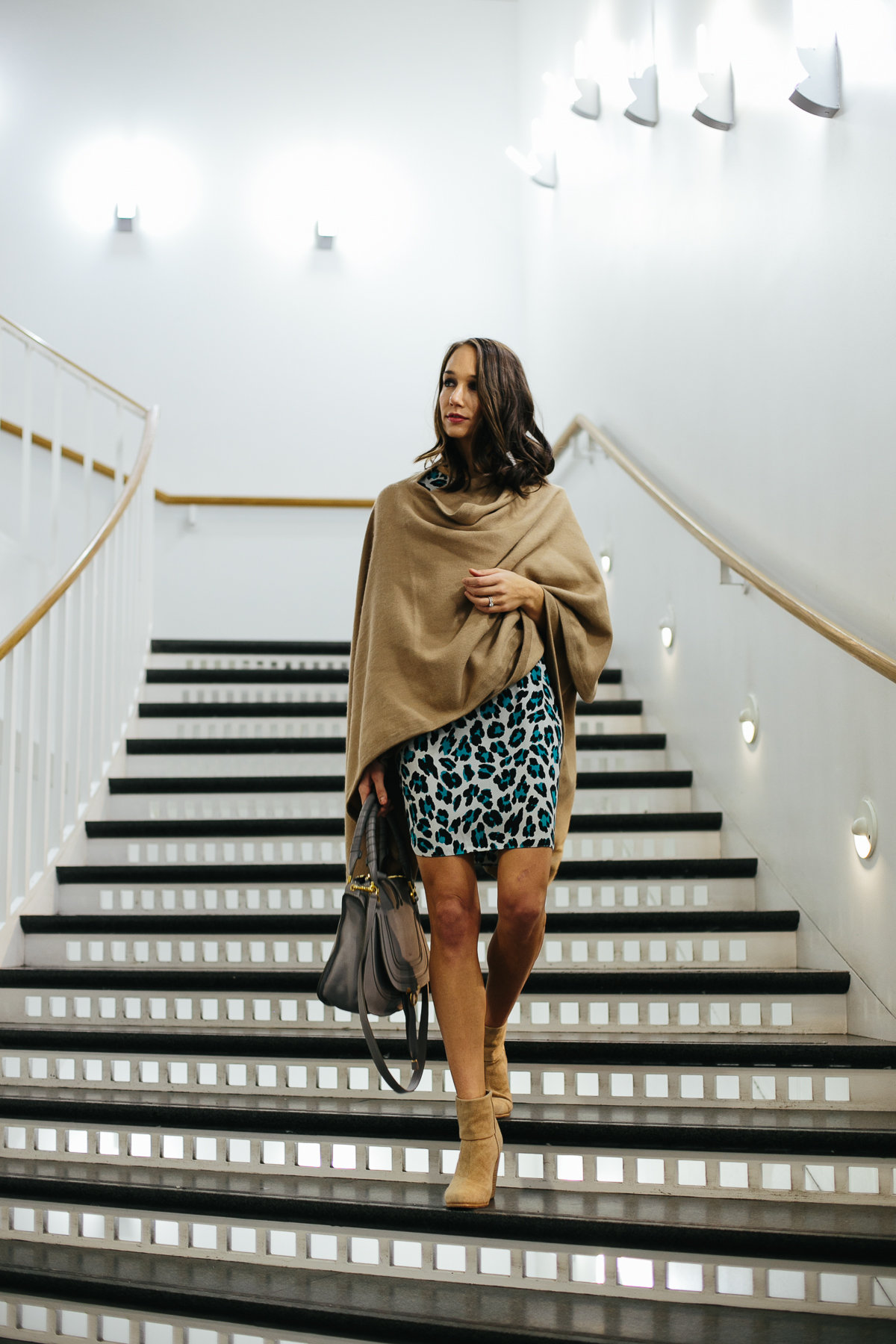 leopard dress, shift dress, cuyana cape, women's fashion, blair culwell, the fox and she