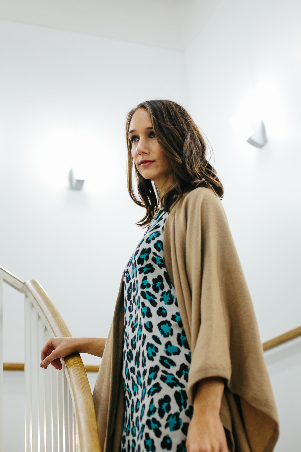 leopard dress, shift dress, cuyana cape, women's fashion, blair culwell, the fox and she