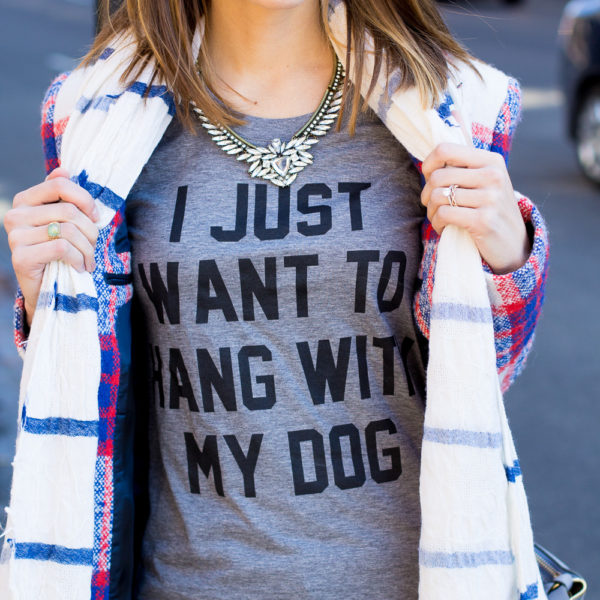 the daily tay tshirts, i just want to hang with my dog, casual weekend outfit, plaid coat, shiba inu, the fox and she