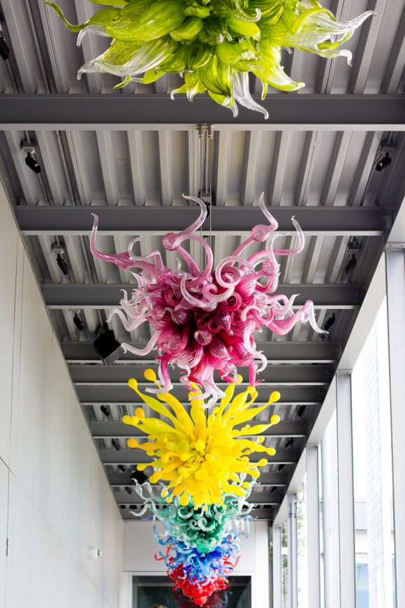 what to do in seattle, a trip to seattle, things to do in seattle, the fox and she, blair staky