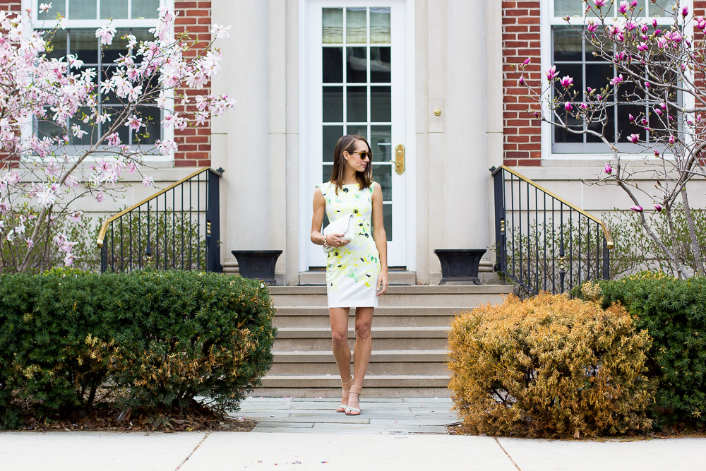 french connection dress, floral dress, what to wear to mothers day brunch, spring outfit, blair staky, the fox and she