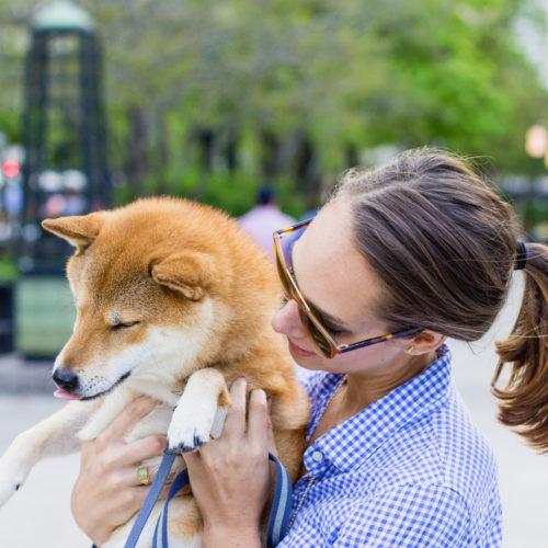 shiba inu, Oliver - @TheFoxandShe