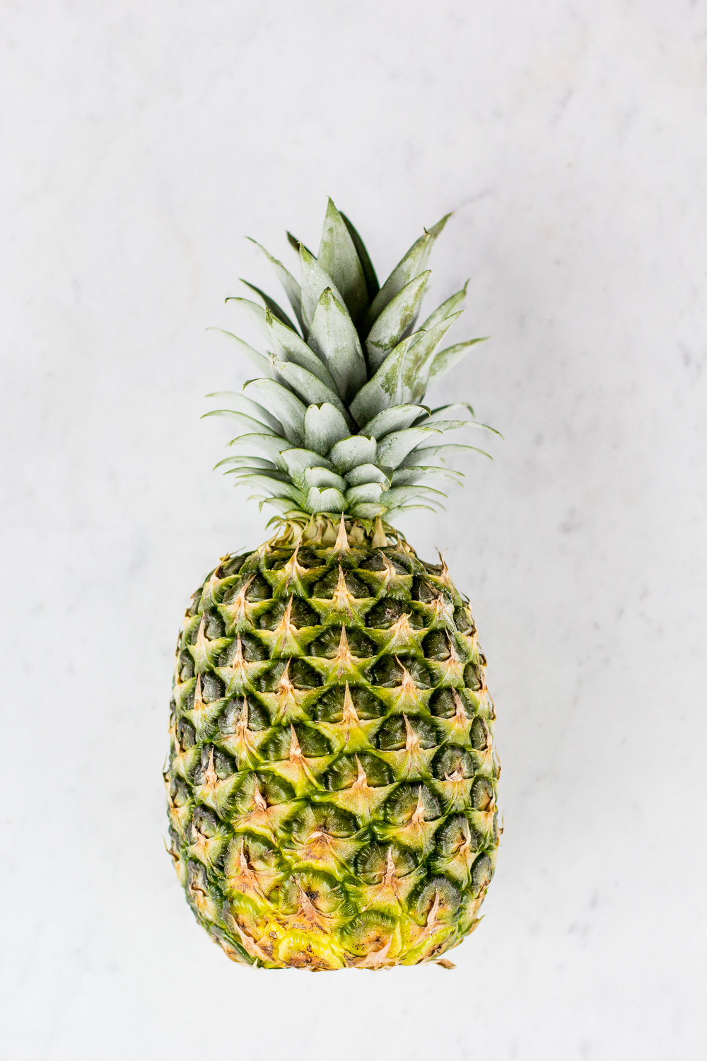 pineapple study @TheFoxandShe