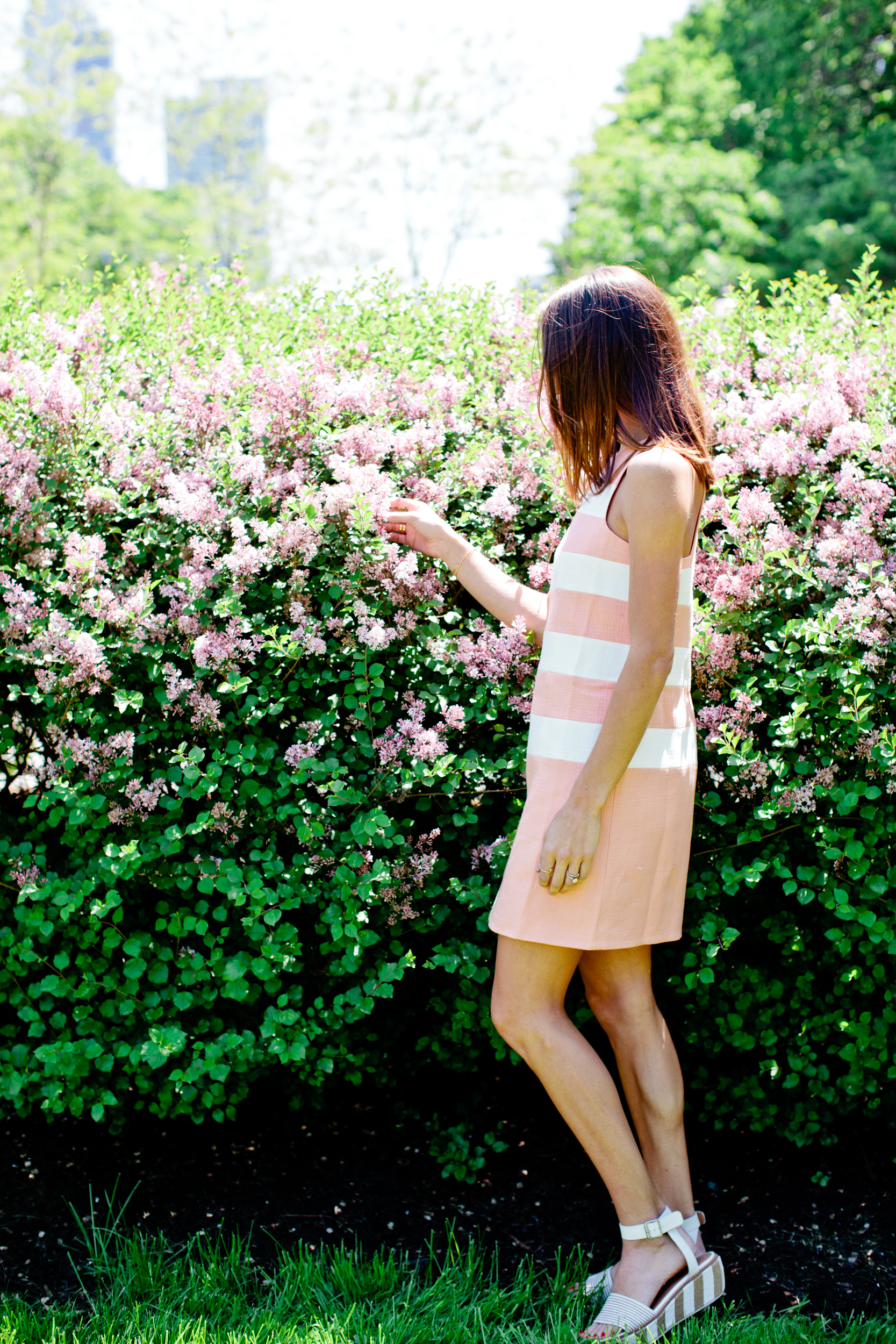 Fara Boatneck Sheath — via @TheFoxandShe #anthropologie