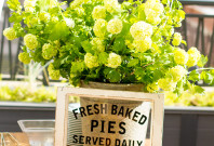 fresh baked pies — via @TheFoxandShe