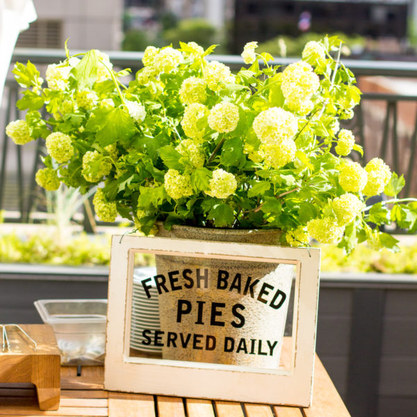 fresh baked pies — via @TheFoxandShe