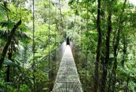canopy rainforest walk in Costa Rica — via @TheFoxandShe