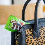 The Perfect Travel Companion