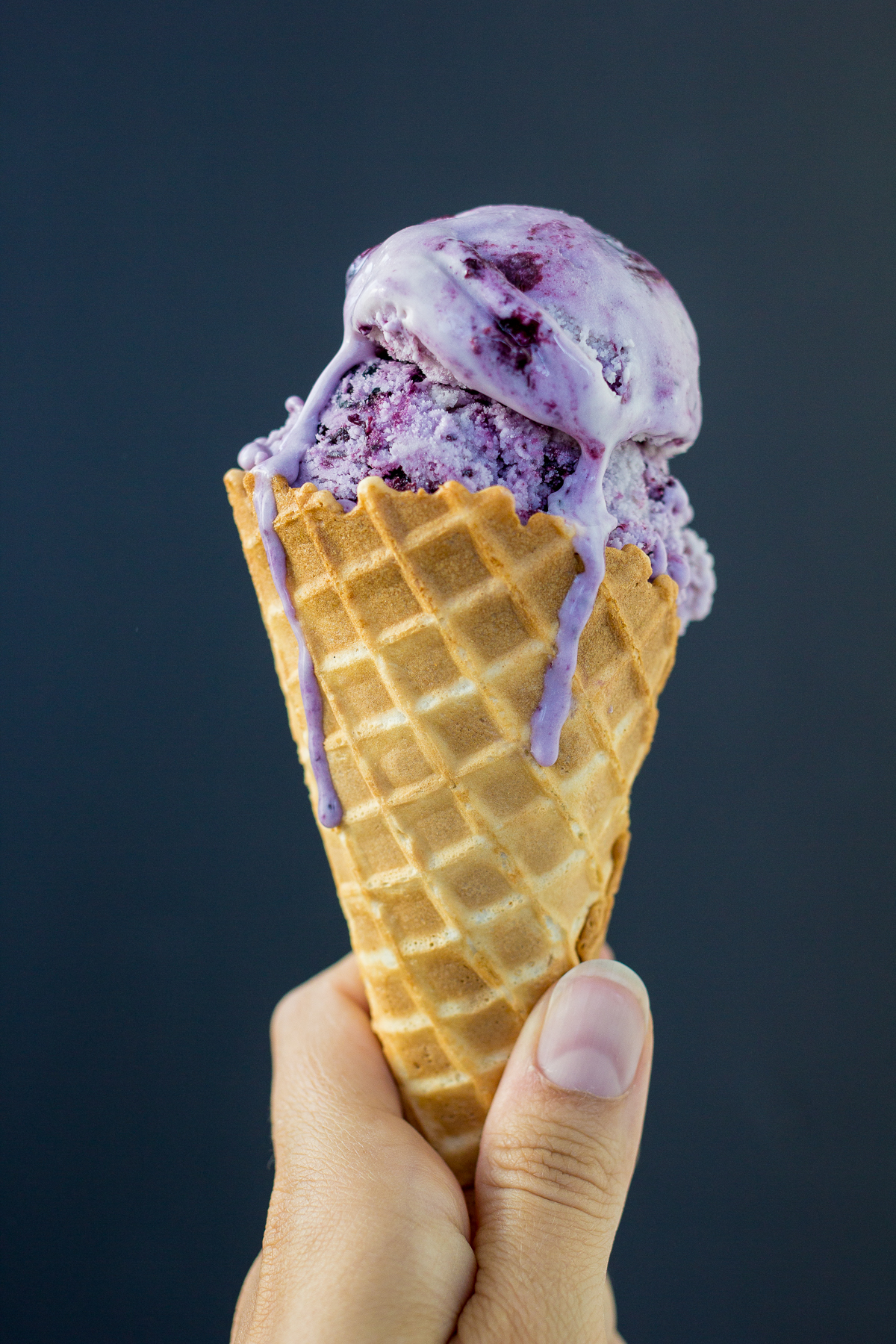 Goat Cheese & Blueberry Ice Cream — via @TheFoxandShe