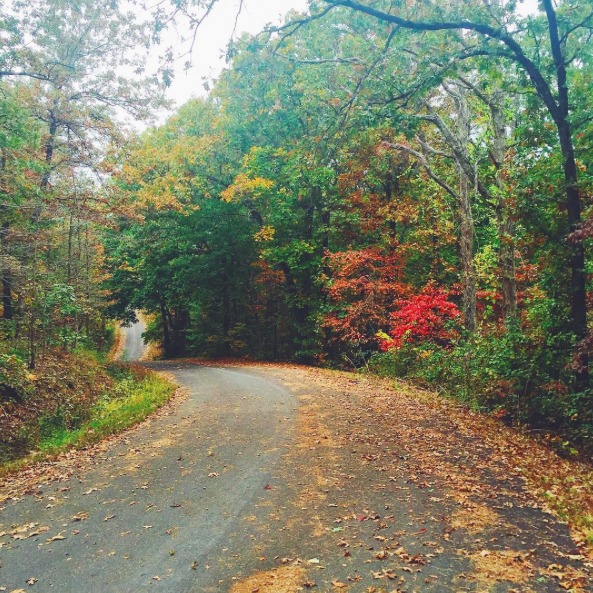 Why You Need to Take Care of Yourself — via @TheFoxandShe