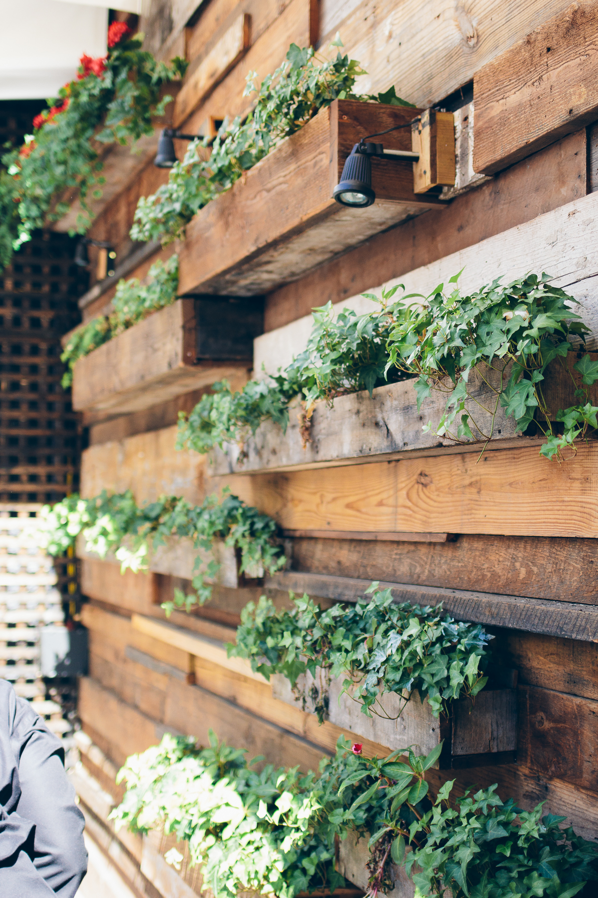 floating wall garden — via @TheFoxandShe