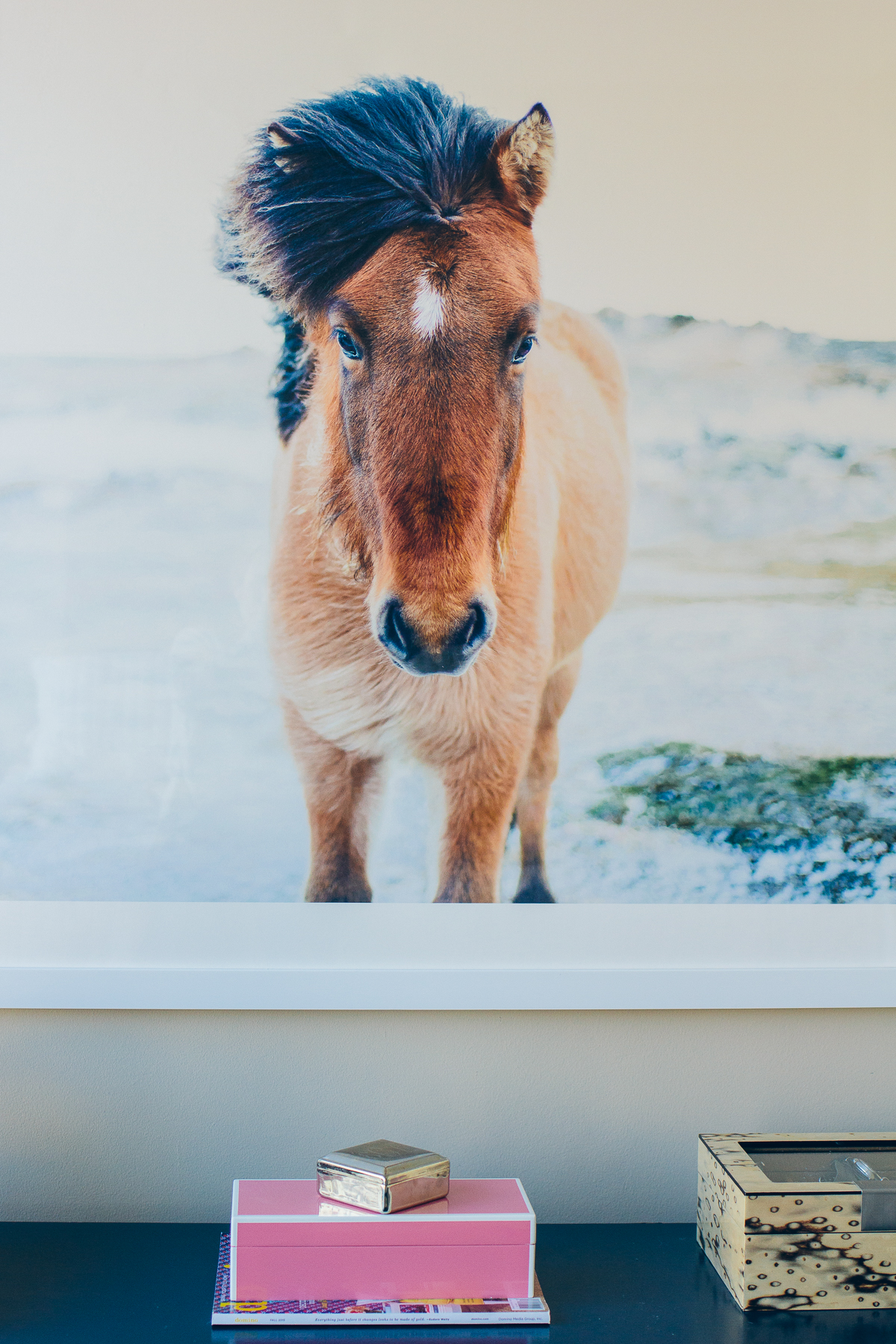 minted artwork, large art print, horse print — via @TheFoxandShe