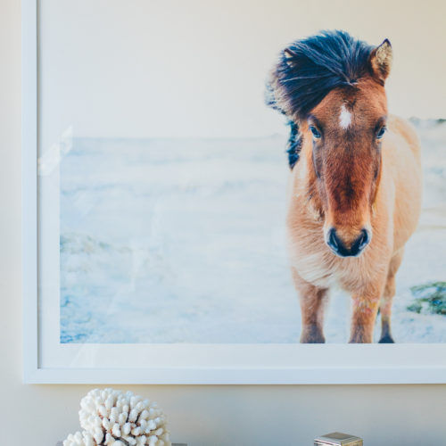 minted artwork, large art print, horse print — via @TheFoxandShe
