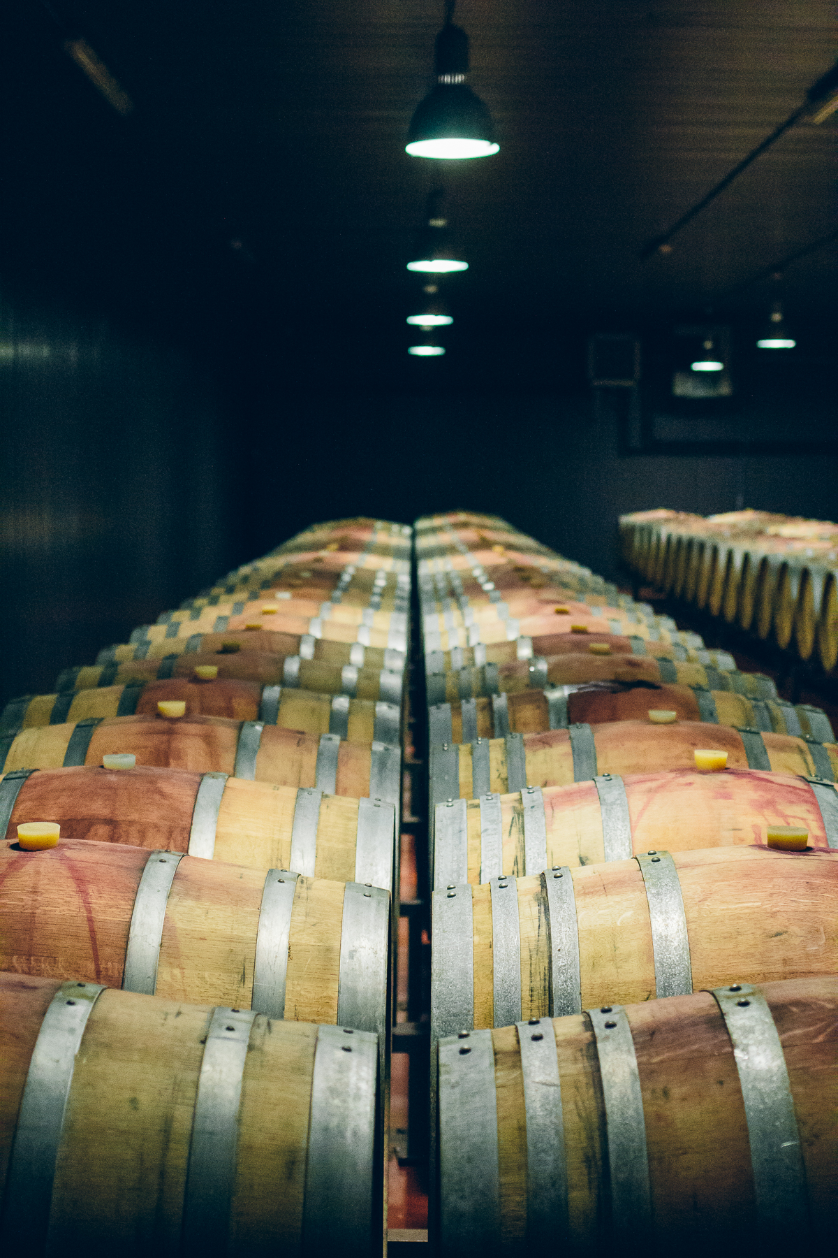 wine tasting in Assisi, Italy — via @TheFoxandShe