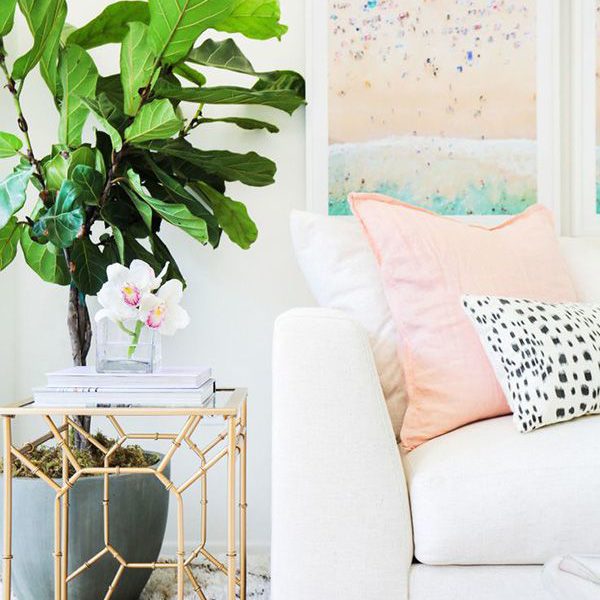 how to not kill your fiddle leaf fig tree — via @TheFoxandShe