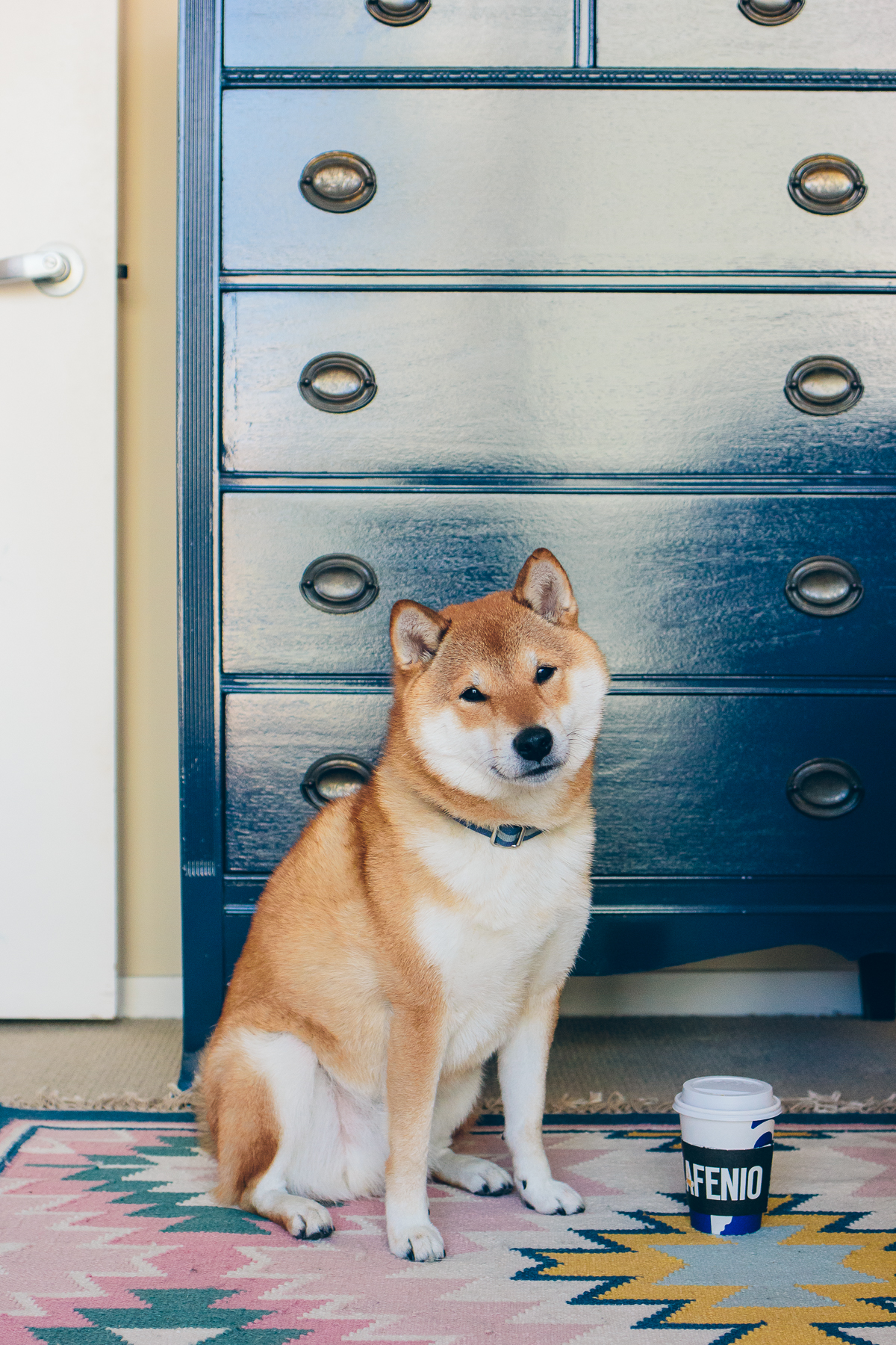 megmade dresser, shiba inu, painted desert rug — via @TheFoxandShe