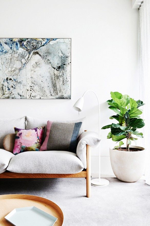 how to not kill your fiddle leaf fig tree — via @TheFoxandShe