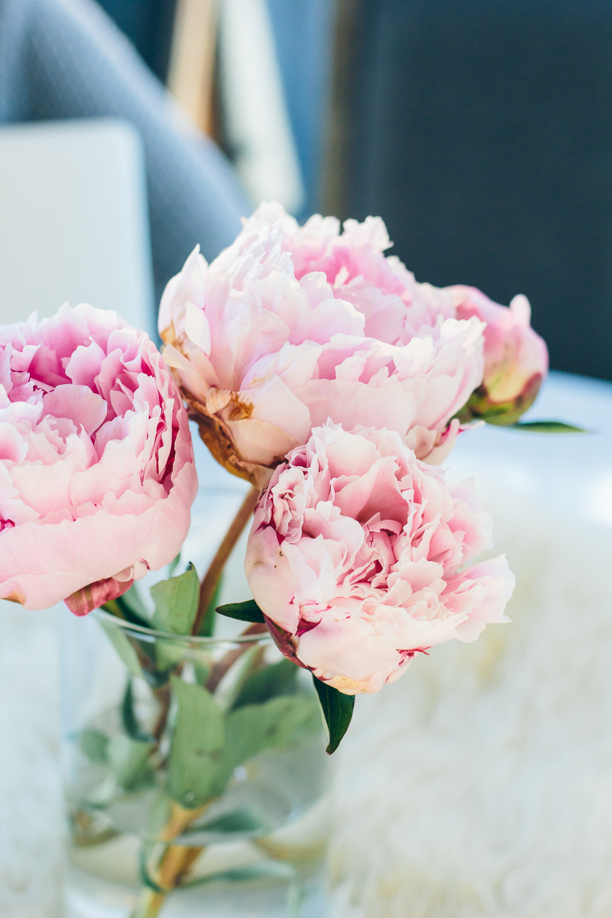 pink peonies —&nbsp;via @TheFoxandShe
