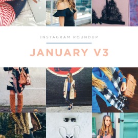 Instagram Roundup January V3