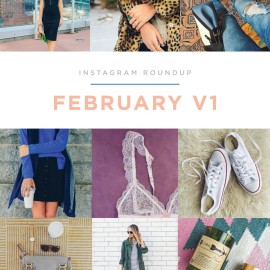 Instagram Roundup February V1
