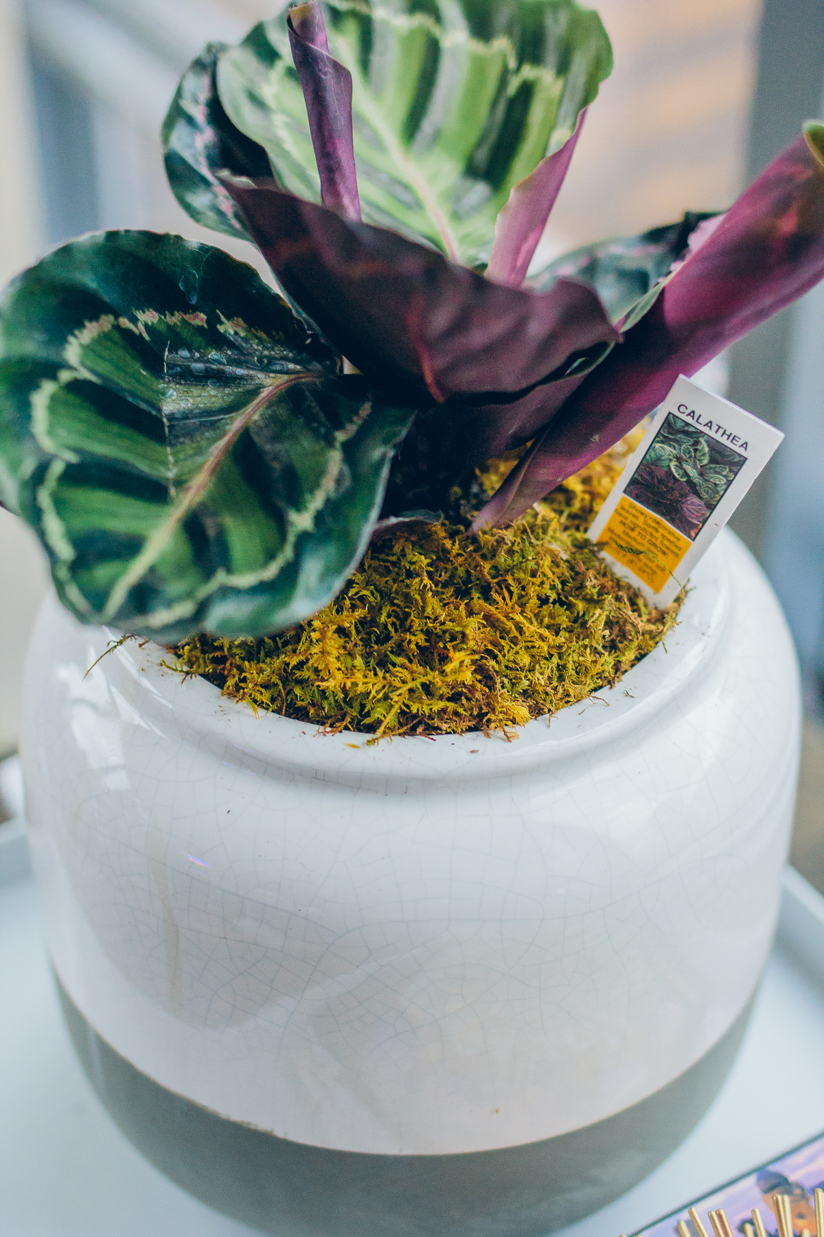 4 ways to make your home happier — via @TheFoxandShe