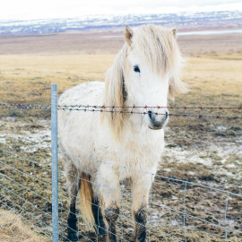 3 Days in Iceland