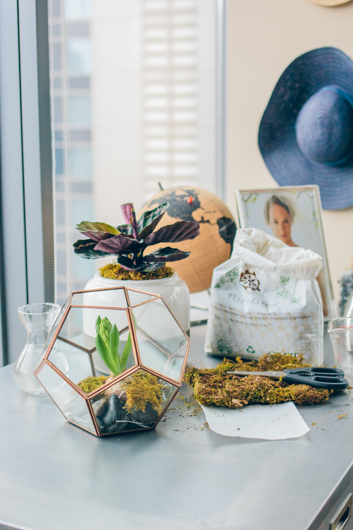 indoor gardens, DIY terrarium — via @TheFoxandShe