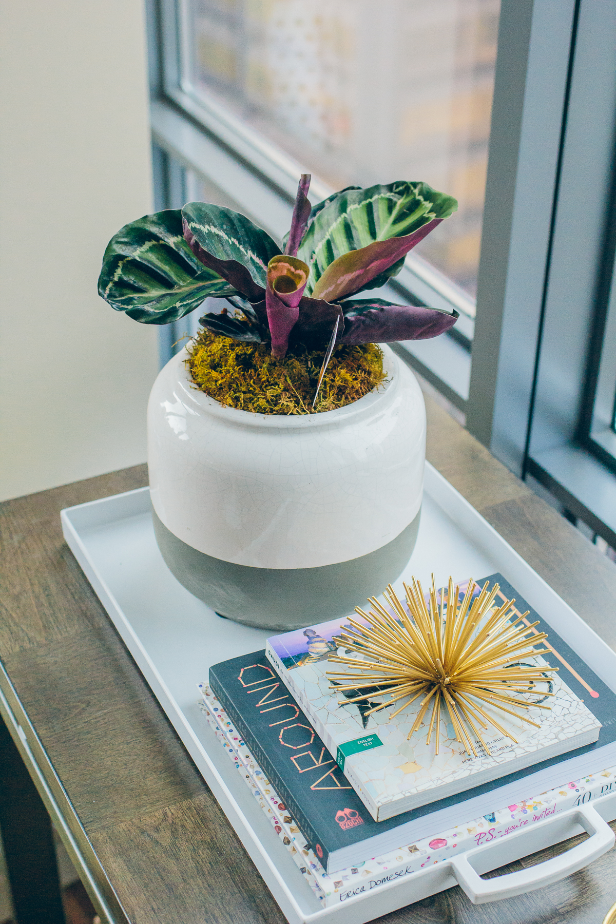 4 Stunning Ways to Bring the Outdoors In, @WorldMarket — via @TheFoxandShe