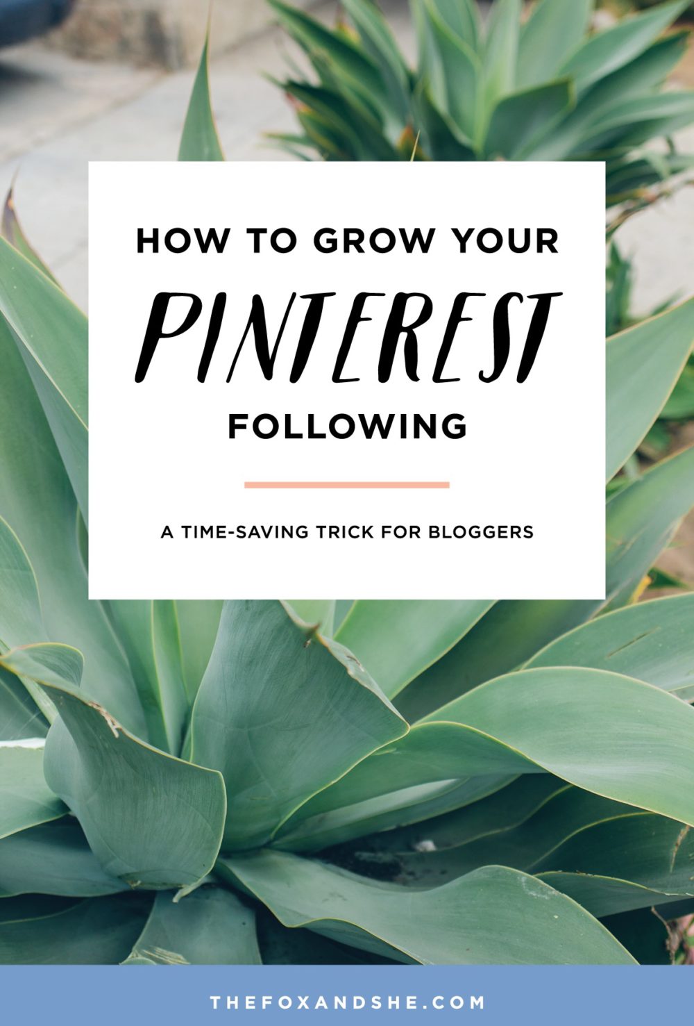 How to Grow Your Pinterest Following