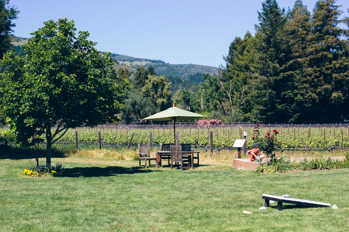 Landmark Vineyards — via @TheFoxandShe
