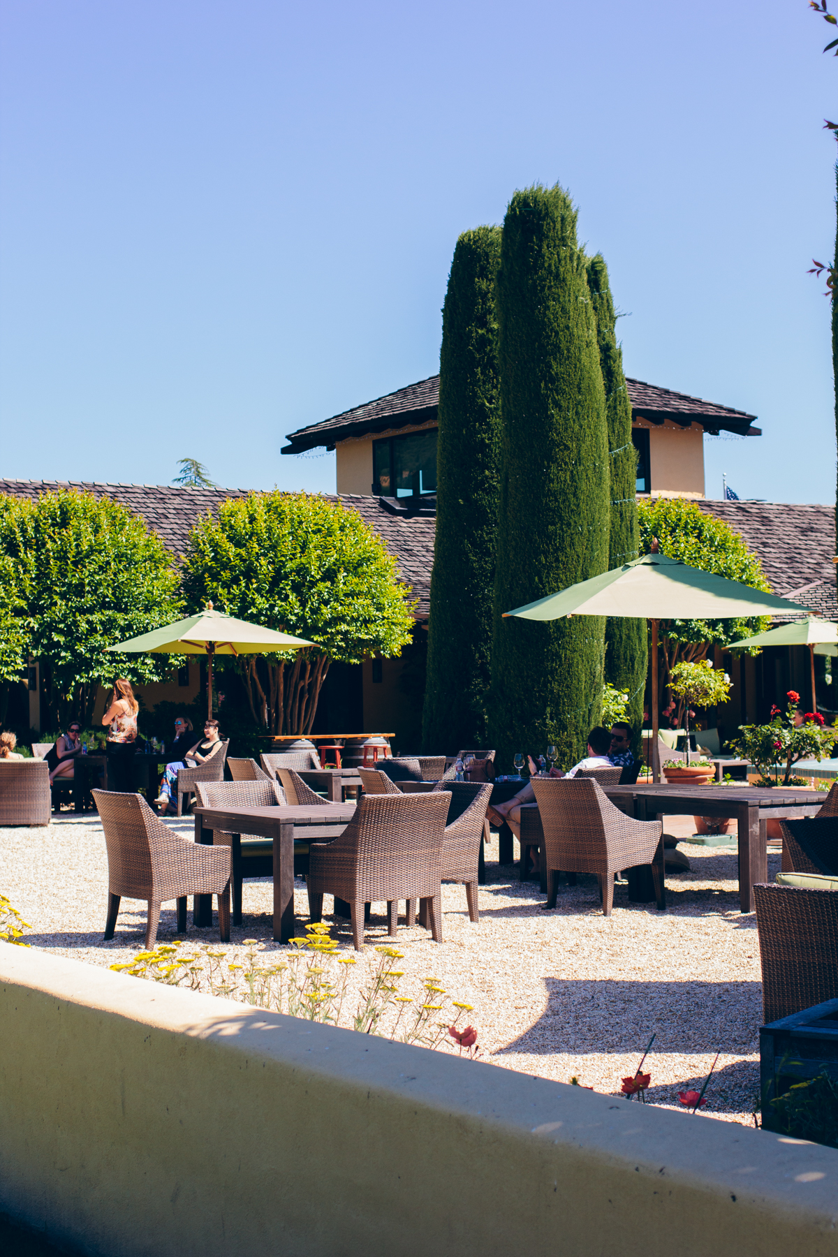 Landmark Vineyards — via @TheFoxandShe