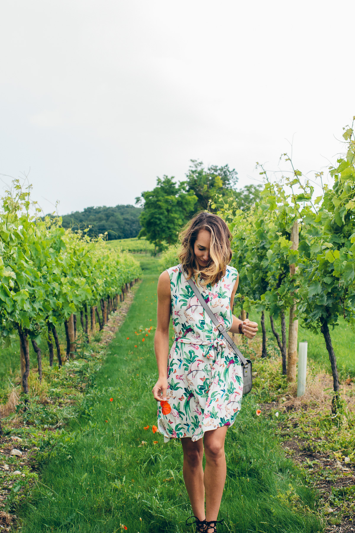 exploring the french countryside
