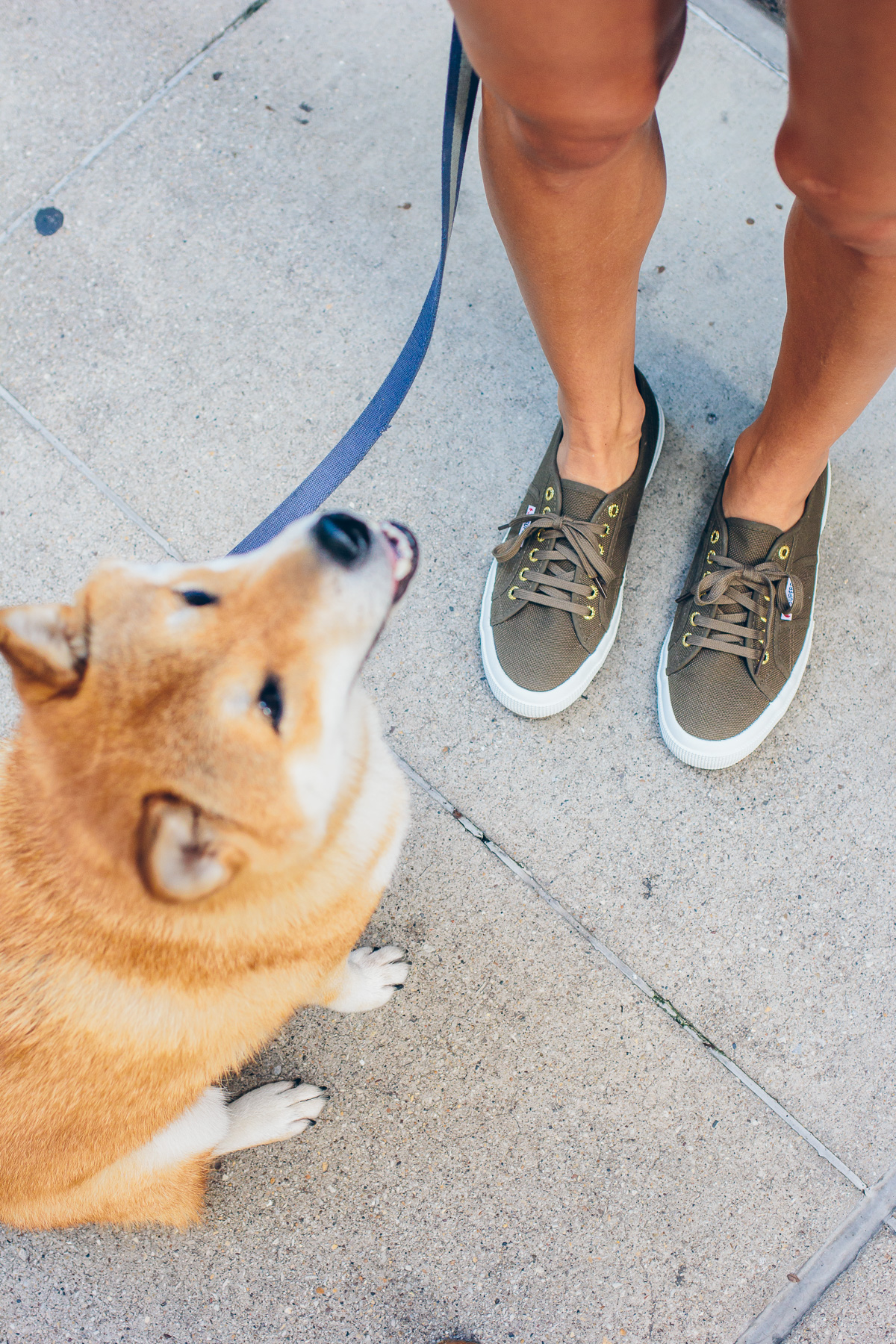superga sneakers #supergaUSA