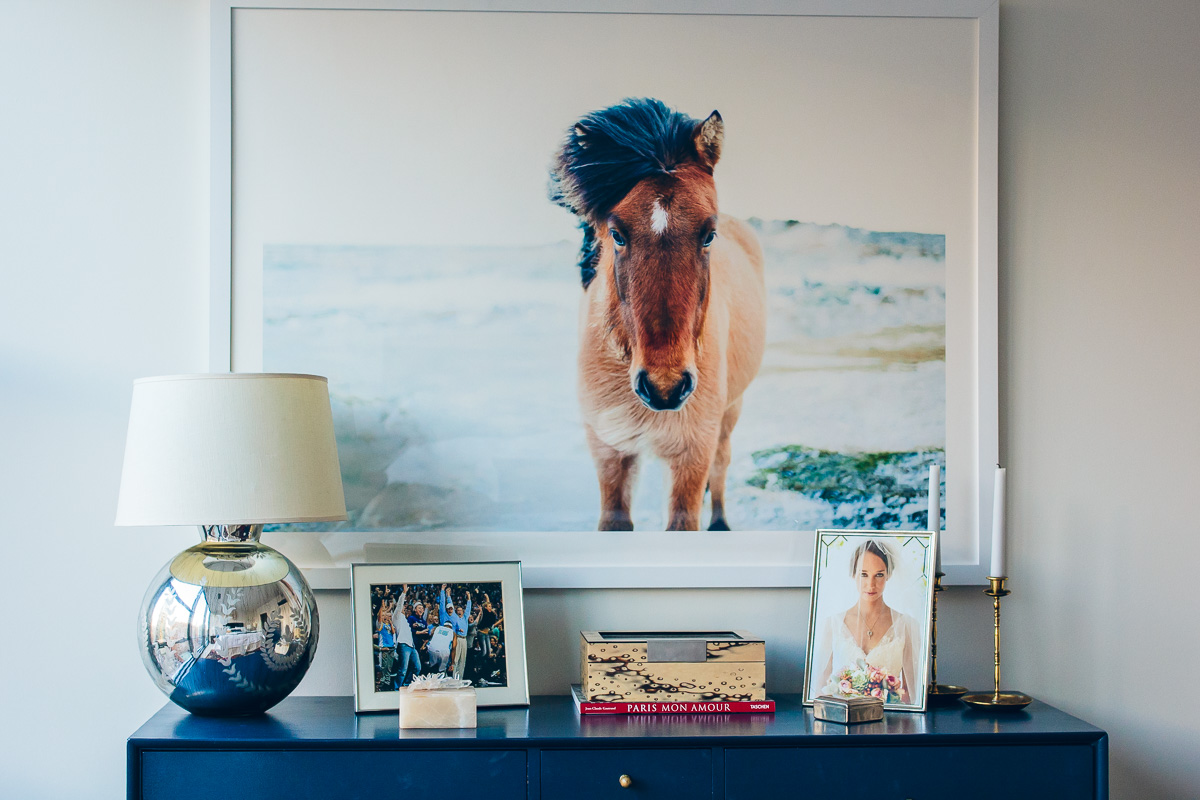 icelandic horse artwork