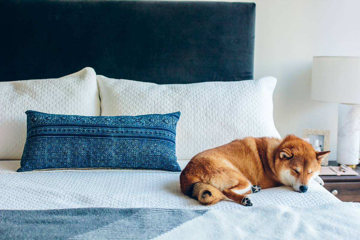 diy shibori pillow